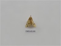 藏品(尺蠖蛾科)的圖片